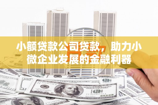 嘉禾小额贷款公司贷款，助力小微企业发展的金融利器