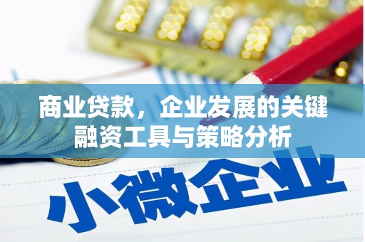 嘉禾商业贷款，企业发展的关键融资工具与策略分析