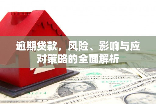 嘉禾逾期贷款，风险、影响与应对策略的全面解析