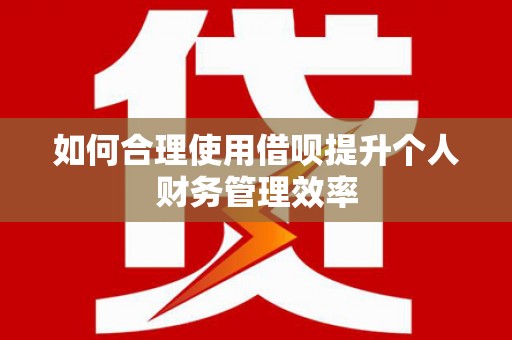 嘉禾如何合理使用借呗提升个人财务管理效率