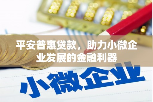 嘉禾平安普惠贷款，助力小微企业发展的金融利器