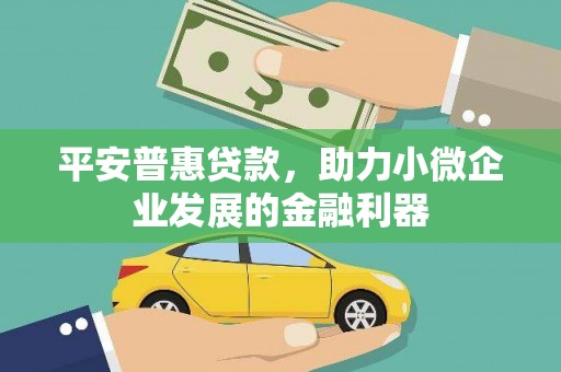 嘉禾平安普惠贷款，助力小微企业发展的金融利器