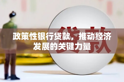 嘉禾政策性银行贷款，推动经济发展的关键力量