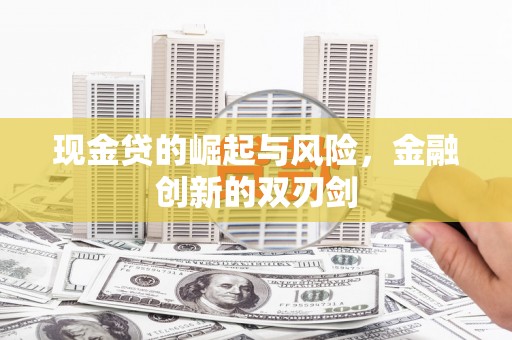 嘉禾现金贷的崛起与风险，金融创新的双刃剑
