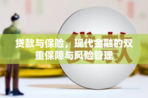 嘉禾贷款与保险，现代金融的双重保障与风险管理
