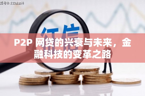 嘉禾P2P 网贷的兴衰与未来，金融科技的变革之路