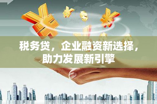 嘉禾税务贷，企业融资新选择，助力发展新引擎
