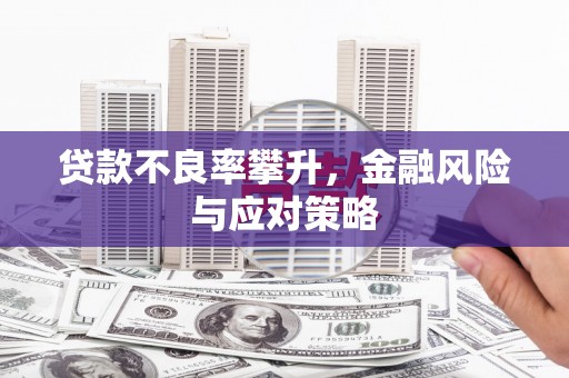 嘉禾贷款不良率攀升，金融风险与应对策略