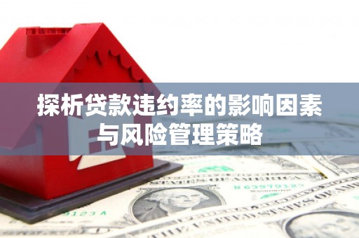嘉禾探析贷款违约率的影响因素与风险管理策略