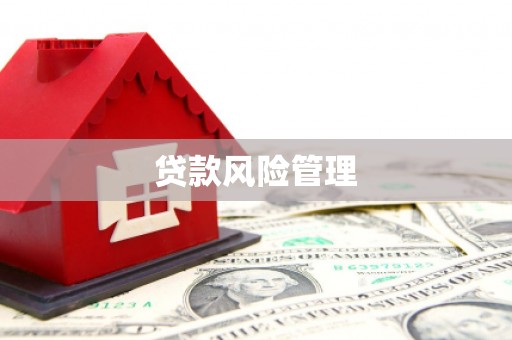 嘉禾贷款风险管理