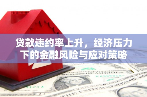 嘉禾贷款违约率上升，经济压力下的金融风险与应对策略