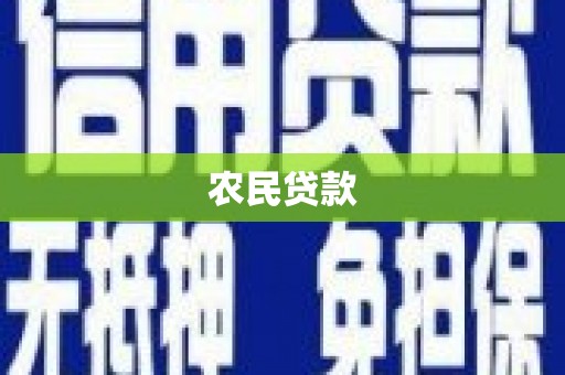 嘉禾农民贷款