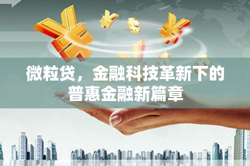嘉禾微粒贷，金融科技革新下的普惠金融新篇章