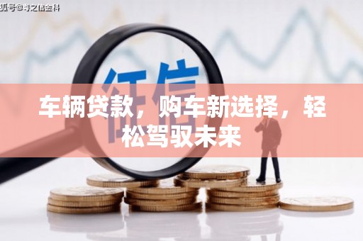 嘉禾车辆贷款，购车新选择，轻松驾驭未来