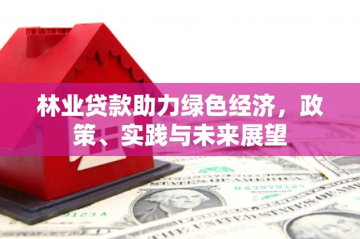 嘉禾林业贷款助力绿色经济，政策、实践与未来展望