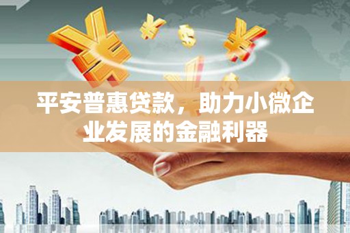 嘉禾平安普惠贷款，助力小微企业发展的金融利器