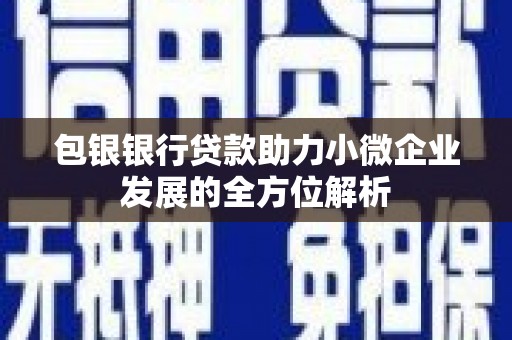 嘉禾包银银行贷款助力小微企业发展的全方位解析