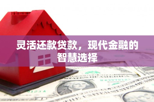 嘉禾灵活还款贷款，现代金融的智慧选择