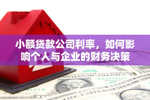 嘉禾小额贷款公司利率，如何影响个人与企业的财务决策