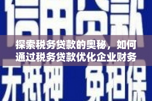 嘉禾探索税务贷款的奥秘，如何通过税务贷款优化企业财务