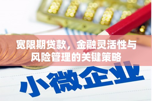 嘉禾宽限期贷款，金融灵活性与风险管理的关键策略