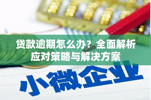 嘉禾贷款逾期怎么办？全面解析应对策略与解决方案