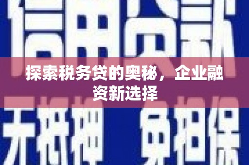 嘉禾探索税务贷的奥秘，企业融资新选择