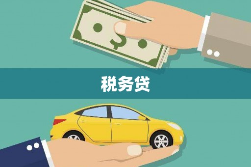 嘉禾税务贷