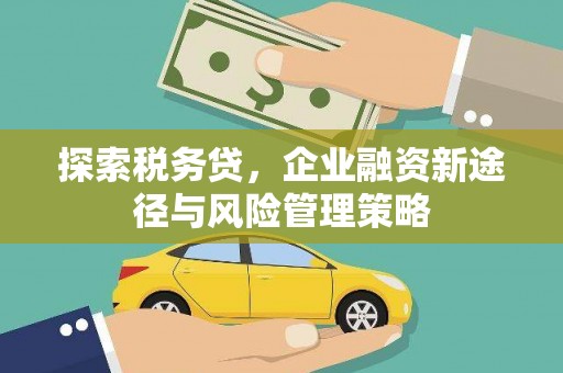 嘉禾探索税务贷，企业融资新途径与风险管理策略
