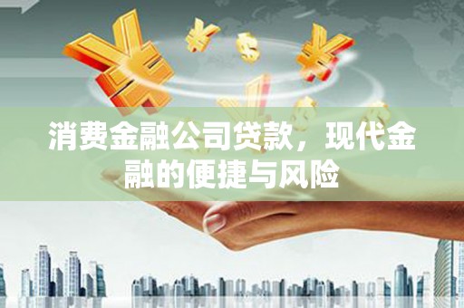 嘉禾消费金融公司贷款，现代金融的便捷与风险