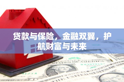 嘉禾贷款与保险，金融双翼，护航财富与未来