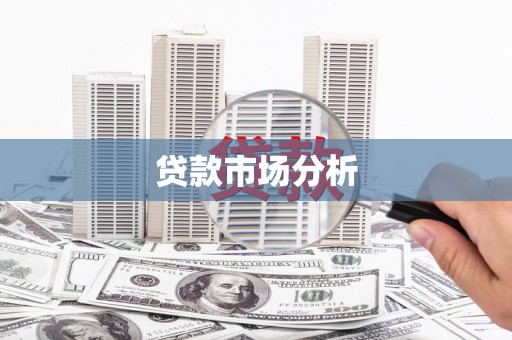 嘉禾贷款市场分析