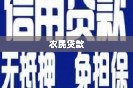 嘉禾农民贷款