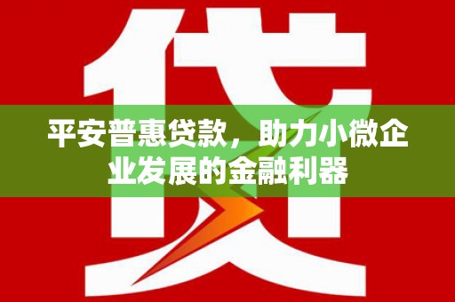 嘉禾平安普惠贷款，助力小微企业发展的金融利器
