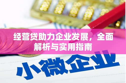嘉禾经营贷助力企业发展，全面解析与实用指南
