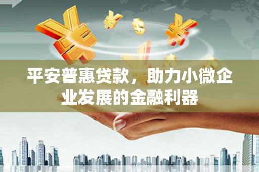 嘉禾平安普惠贷款，助力小微企业发展的金融利器