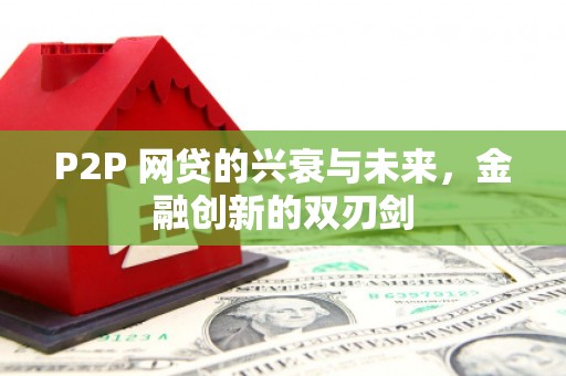 嘉禾P2P 网贷的兴衰与未来，金融创新的双刃剑