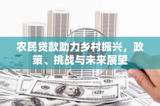 嘉禾农民贷款助力乡村振兴，政策、挑战与未来展望