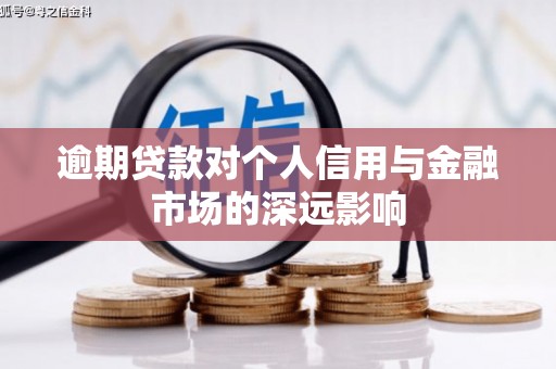 嘉禾逾期贷款对个人信用与金融市场的深远影响