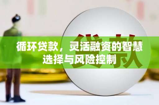 嘉禾循环贷款，灵活融资的智慧选择与风险控制