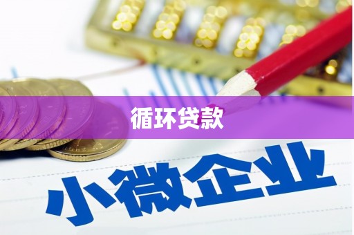 嘉禾循环贷款