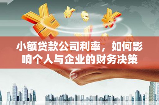 嘉禾小额贷款公司利率，如何影响个人与企业的财务决策