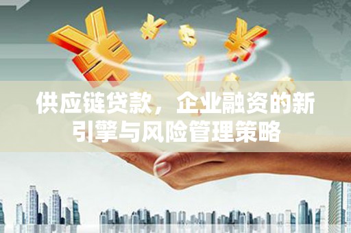 嘉禾供应链贷款，企业融资的新引擎与风险管理策略