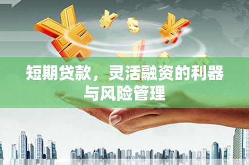 嘉禾短期贷款，灵活融资的利器与风险管理