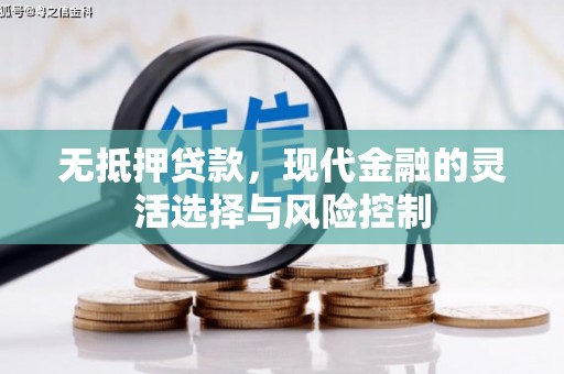 嘉禾无抵押贷款，现代金融的灵活选择与风险控制
