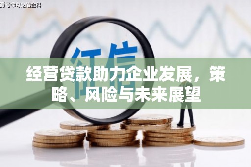 嘉禾经营贷款助力企业发展，策略、风险与未来展望