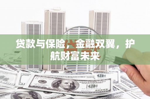 嘉禾贷款与保险，金融双翼，护航财富未来