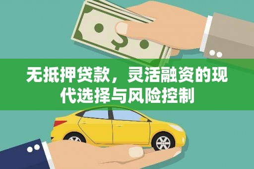 嘉禾无抵押贷款，灵活融资的现代选择与风险控制