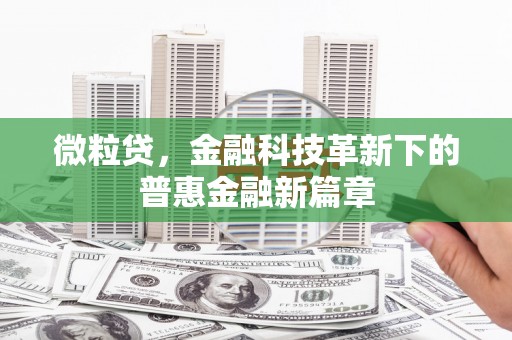 嘉禾微粒贷，金融科技革新下的普惠金融新篇章