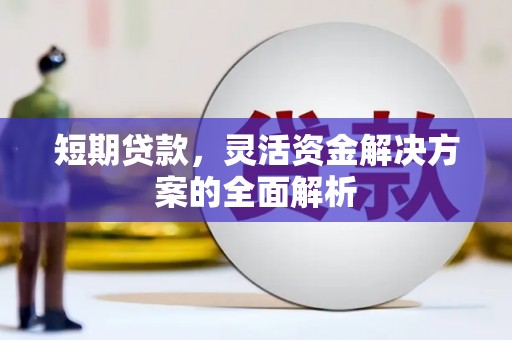 嘉禾短期贷款，灵活资金解决方案的全面解析